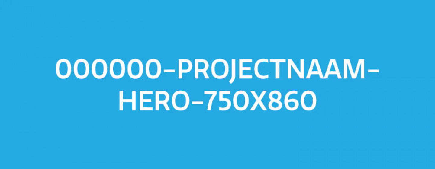 000000-Projectnaam-Hero-750x860