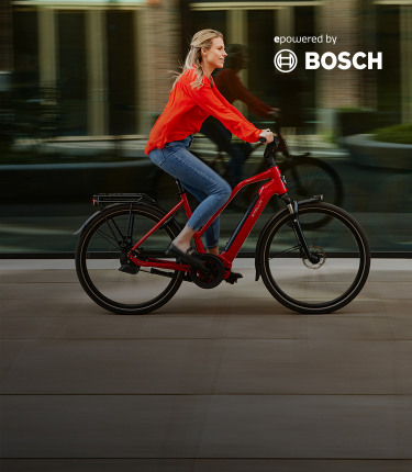 210810-Bosch-Hero-750x860