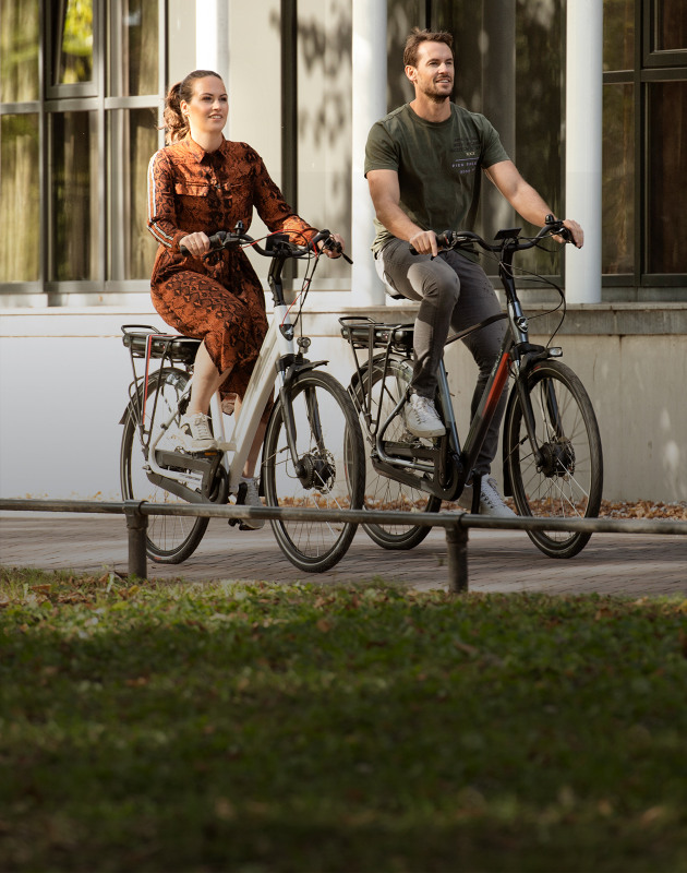 Vermenigvuldiging capaciteit autobiografie Elektrische fiets kopen? De best geteste e-bikes vind je bij Stella