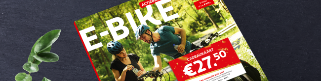 BE-StellaBrochure-Flow-1300x330