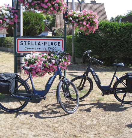 4 #stellamoment