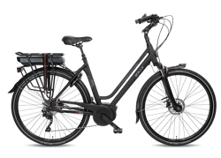 Citroen kleinhandel native Elektrische fiets kopen? » 5 dagen levertijd op e-bikes!