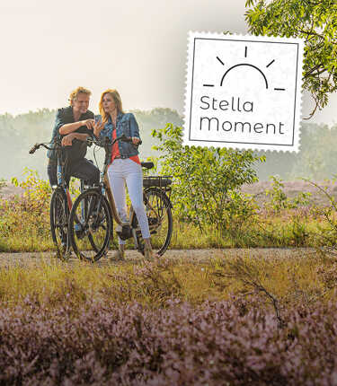 201116-Stella_Moment-Hero-750x860