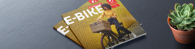 NL-StellaBrochure-Flow-1300x330