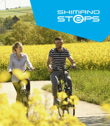 geestelijke gezondheid natuurpark conversie E-bikes met Shimano Steps middenmotor » Stella Fietsen