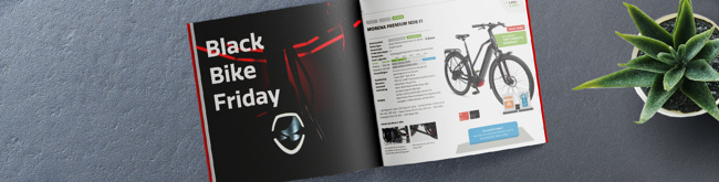 211018-Pre-teaser BlackFriday-CTA_Brochure-mobile-1300x330