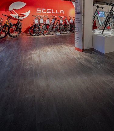 Delegatie Kenmerkend constante Fietsenwinkel Zwolle | E-Bike Testcenter » Stella