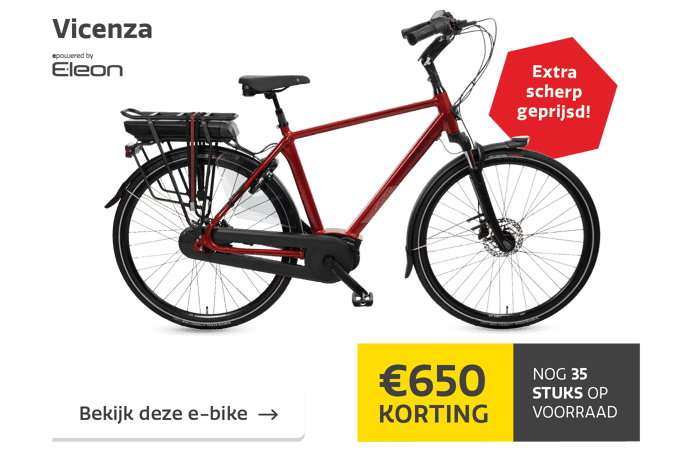 Trappenhuis rooster gewoon E-bike Stockverkoop
