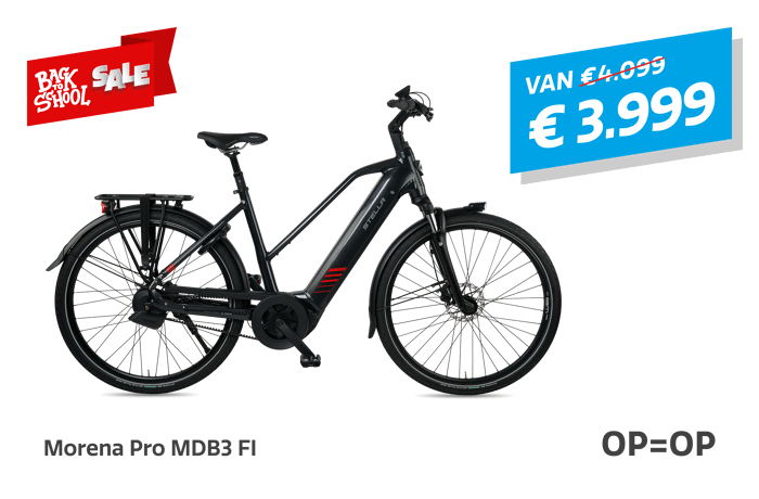 Homepage - Slider - Morena Pro MDB3 FI@2x