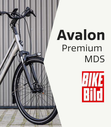 210416-Avalon Premium Mds Bike Bild-750x860