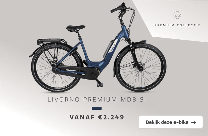 221025-Premium-Collectie_Ebikes-Slider-2e3ekolom-1400x920-04