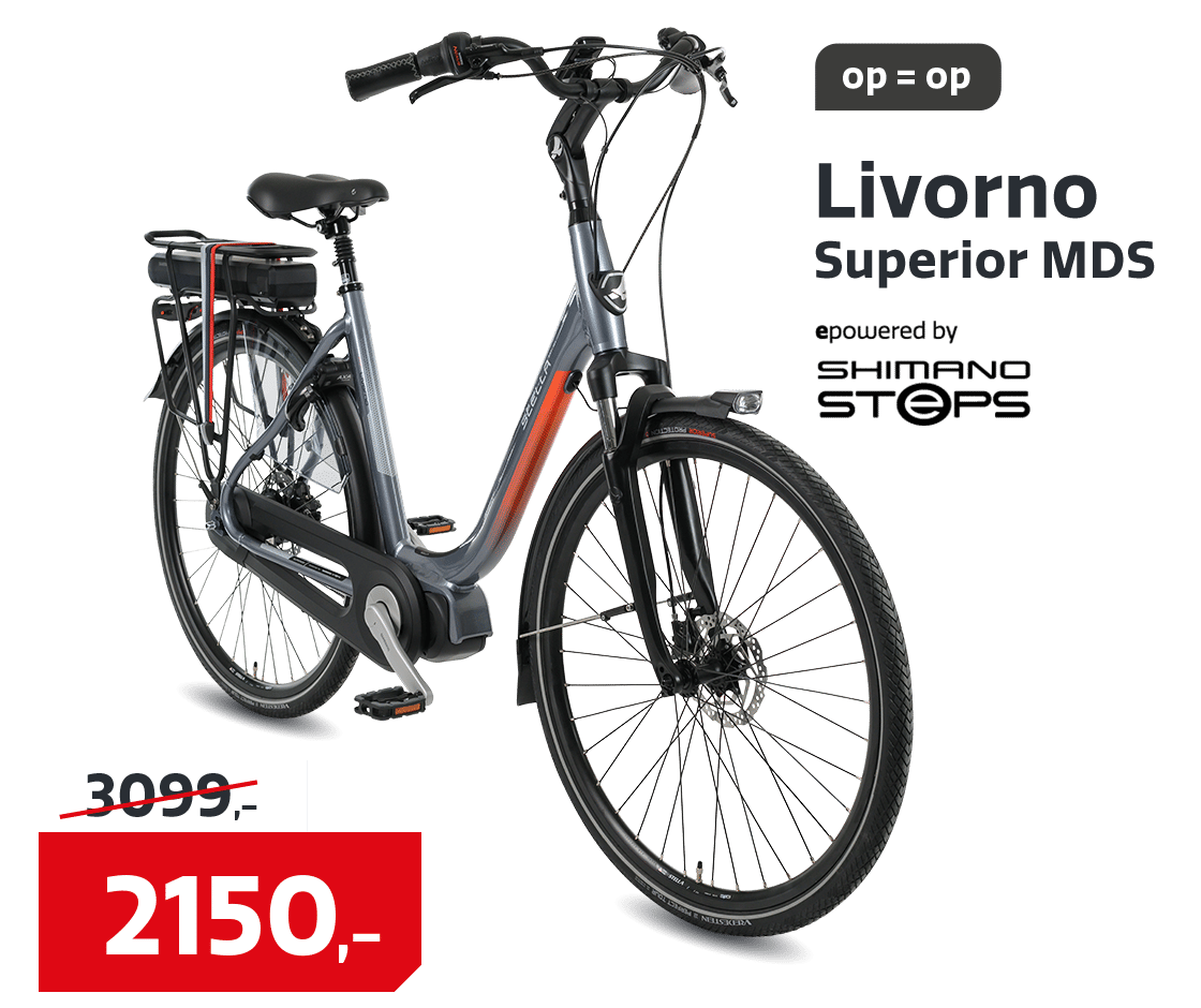 E-bike lentevoordeel