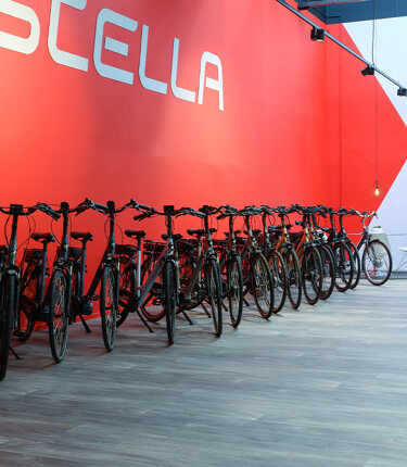 Charlotte Bronte blad diepvries Tweedehands elektrische fiets kopen | Outlet | Stella