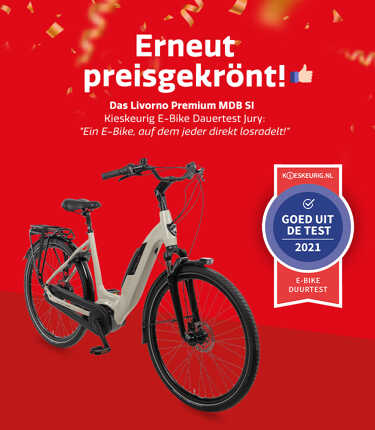 2105-DE-Kieskeurig-award-ActieHero-750x860