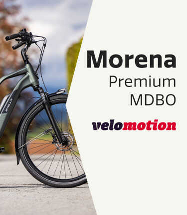 2105-Morena-Premium-MDBO-750x860