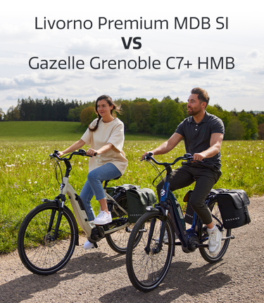220609-Prijsvergelijker-Tabel-Gazelle_Livorno-Hero-750x860