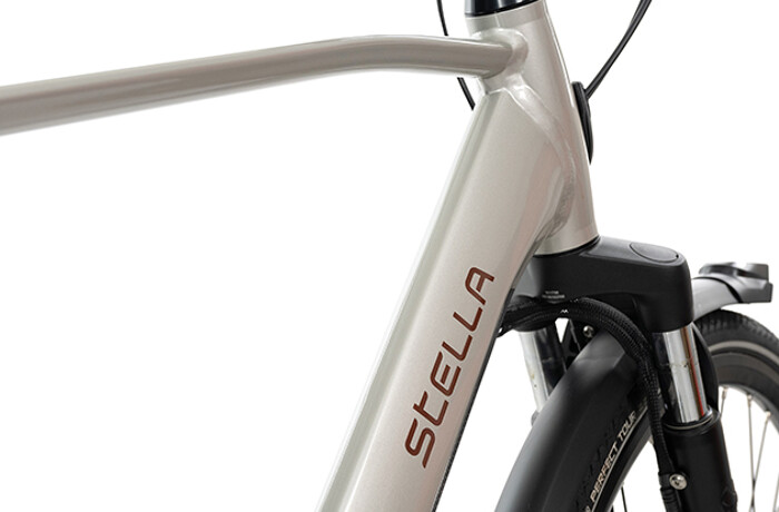 210112-Livorno_FDST_BrilliantSilver_Gent-ProductStory-03-630x450